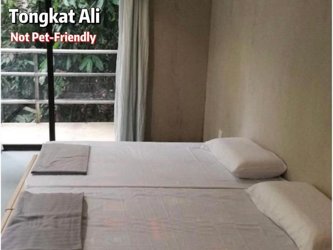Gibbon Retreat Bentong 호텔 외부 사진