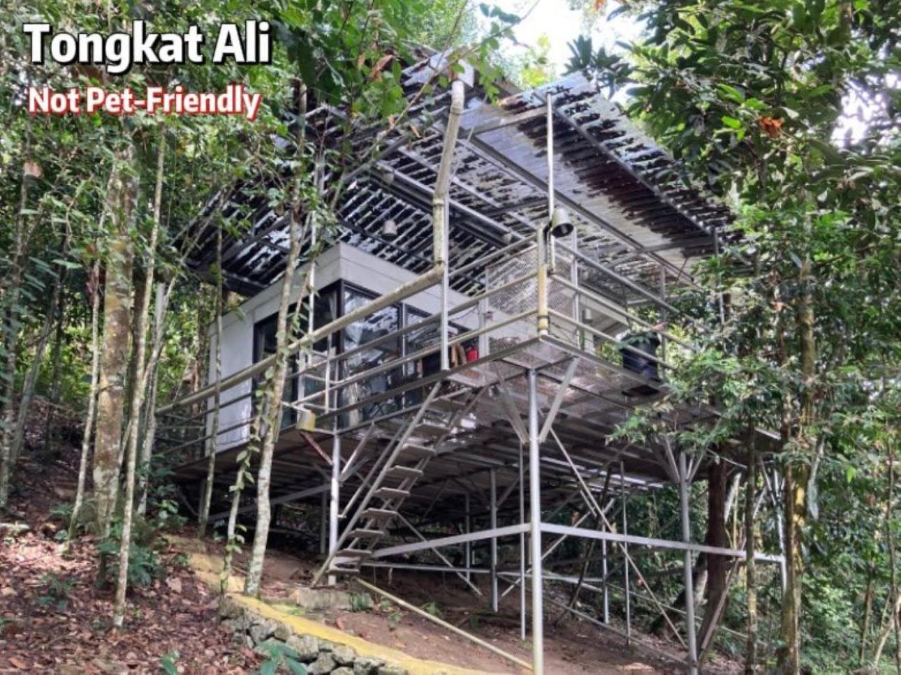 Gibbon Retreat Bentong 호텔 외부 사진