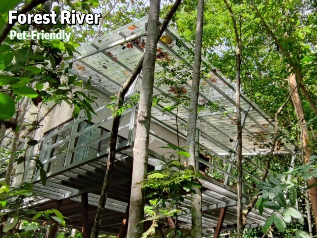 Gibbon Retreat Bentong 호텔 외부 사진
